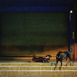 Overmono - Pure Devotion  CD